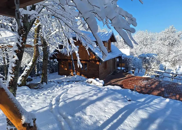 Holiday Home David